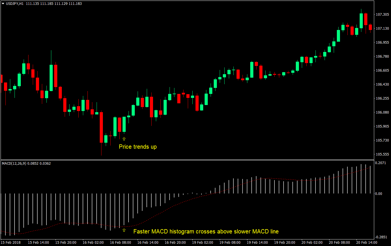 dual macd cross forex trading strategy 01