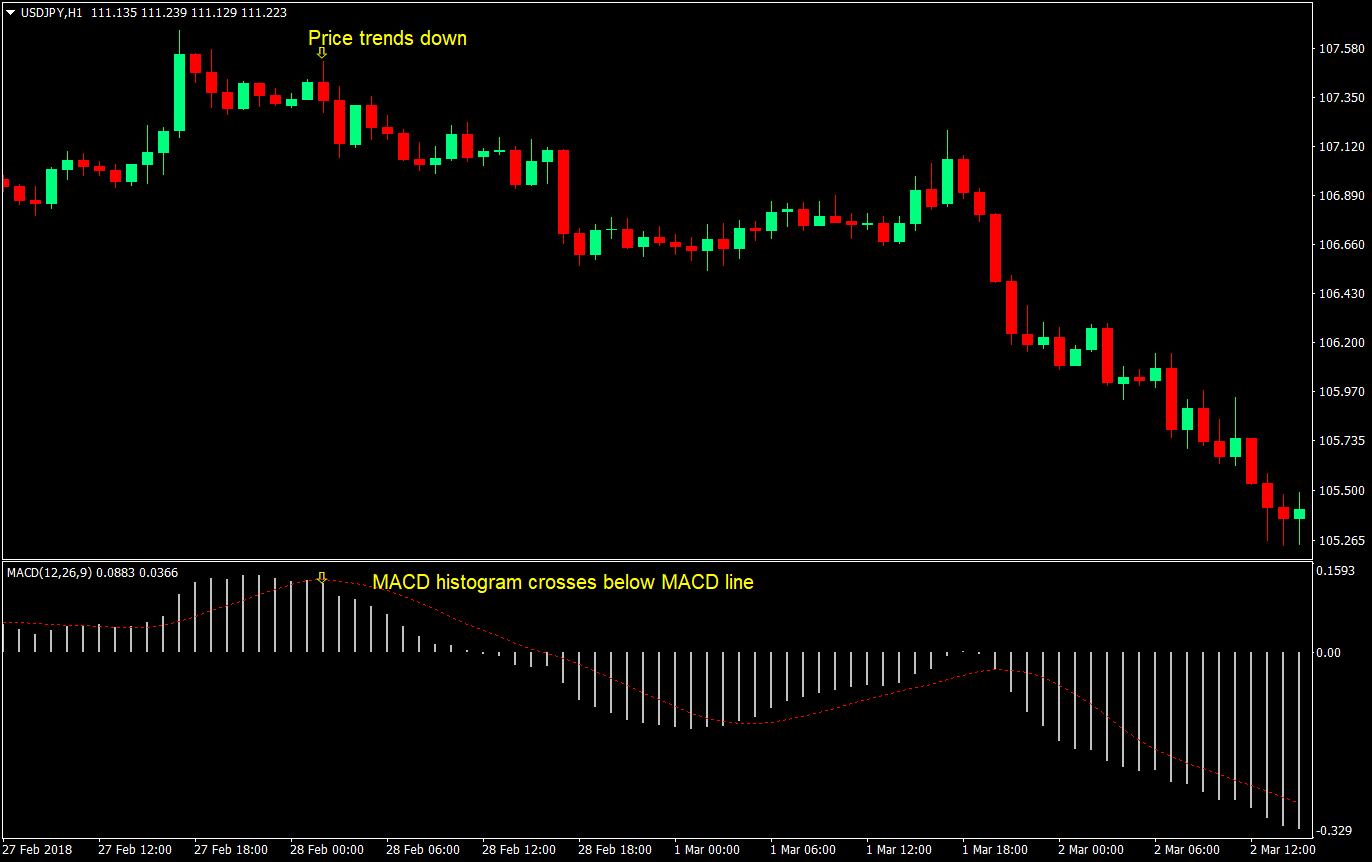 dual macd cross forex trading strategy 02