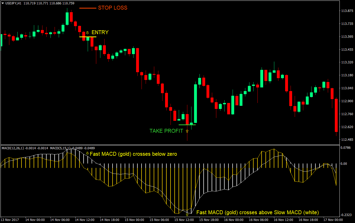 dual macd cross forex trading strategy 08