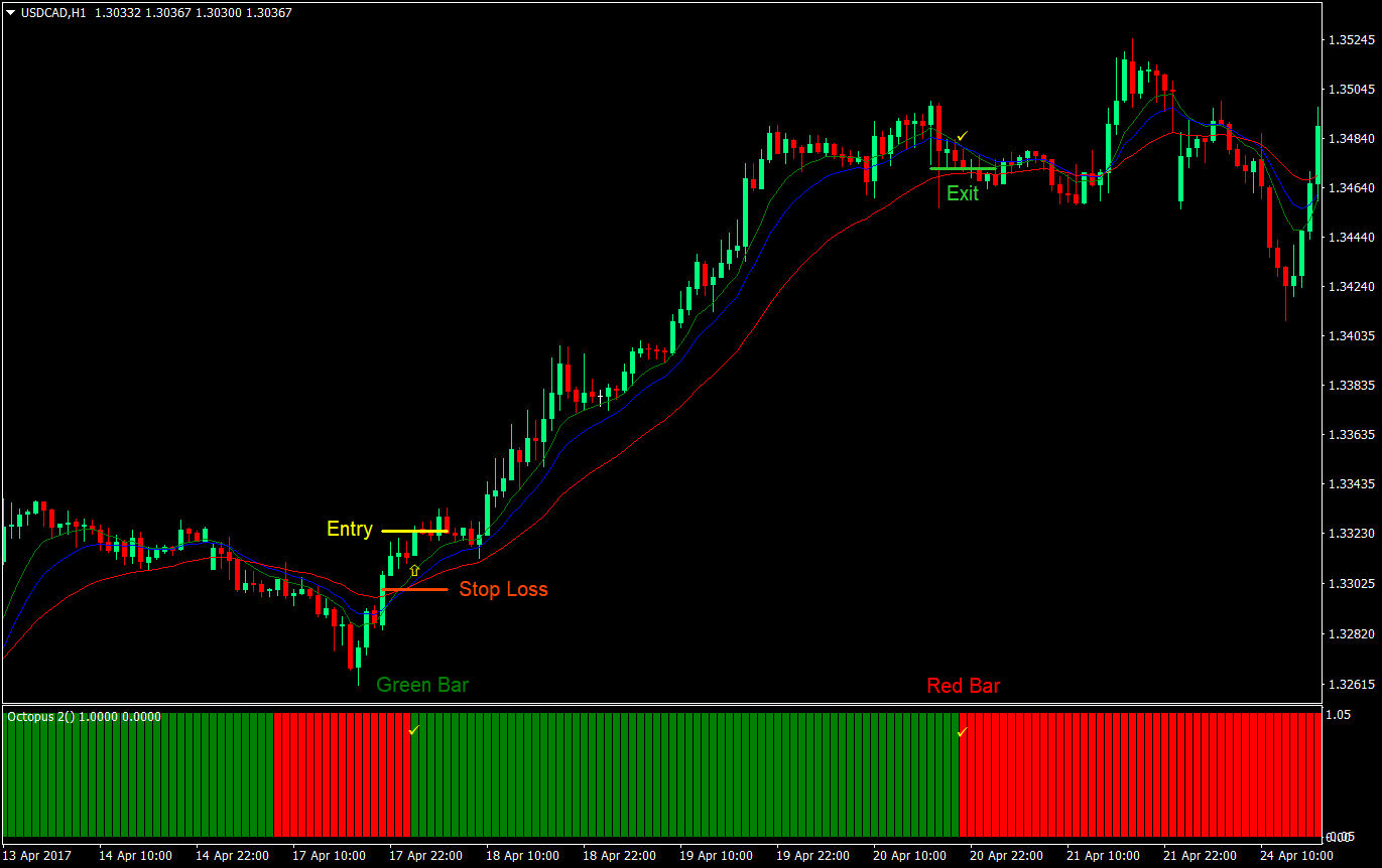 octopus cross forex trading strategy 02