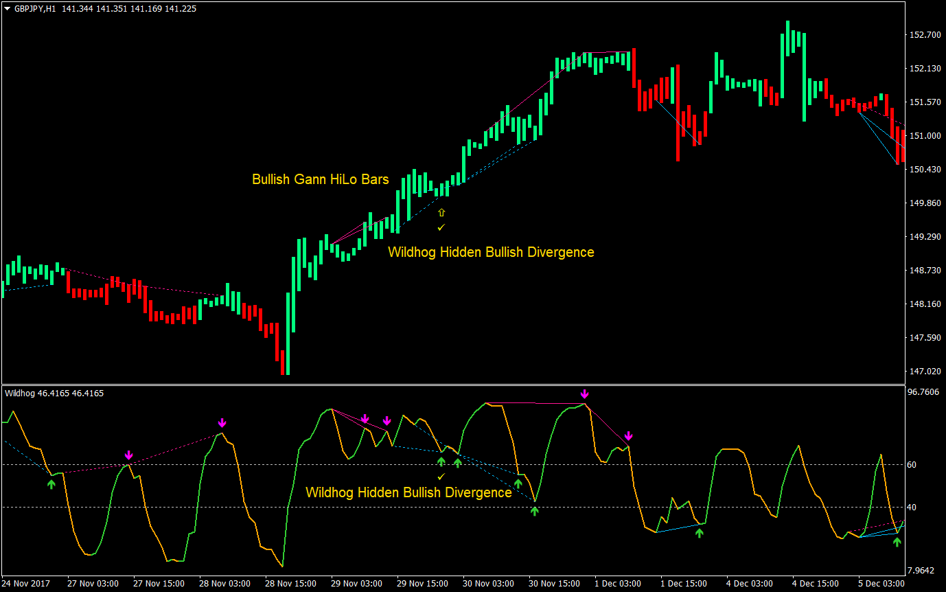 Wildhog Hidden Divergence Forex Trading Strategy 01