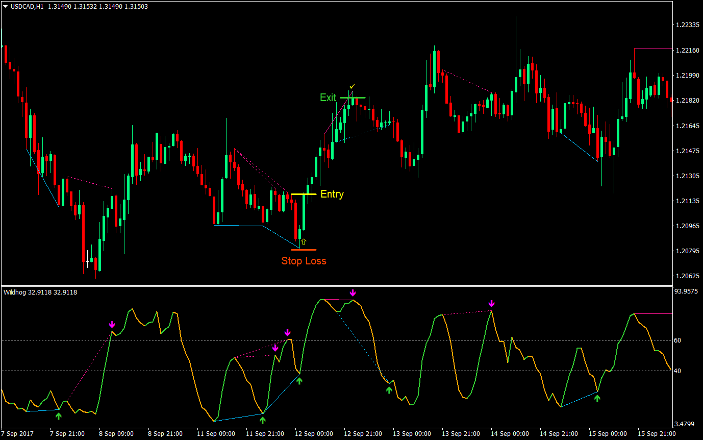 Wildhog Regular Divergence Forex Trading Strategy 03