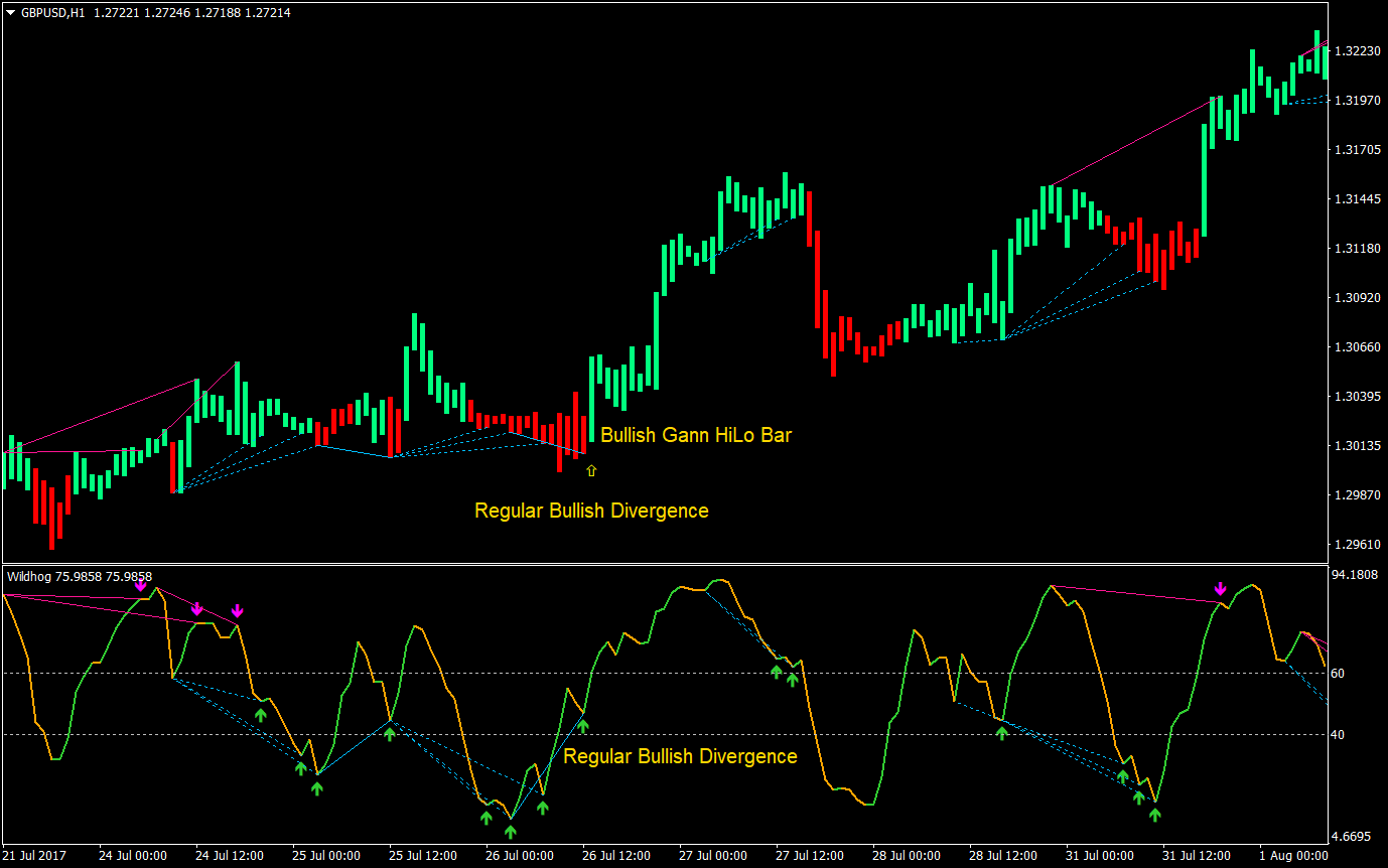 Wildhog Regular Divergence Forex Trading Strategy 04