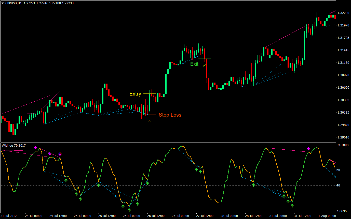 Wildhog Regular Divergence Forex Trading Strategy 05