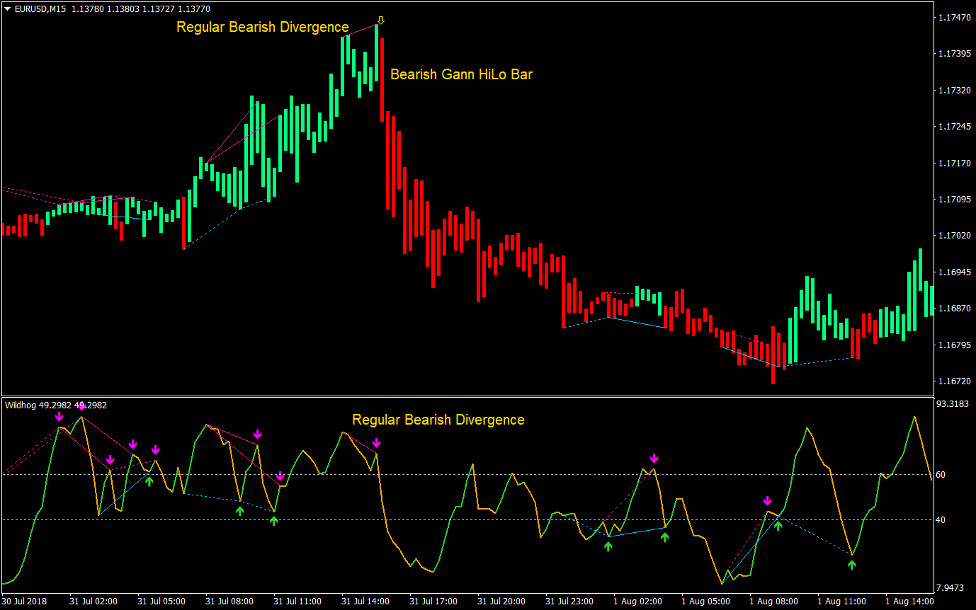 Wildhog Regular Divergence Forex Trading Strategy 06
