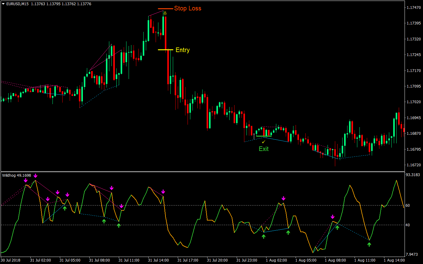 Wildhog Regular Divergence Forex Trading Strategy 07
