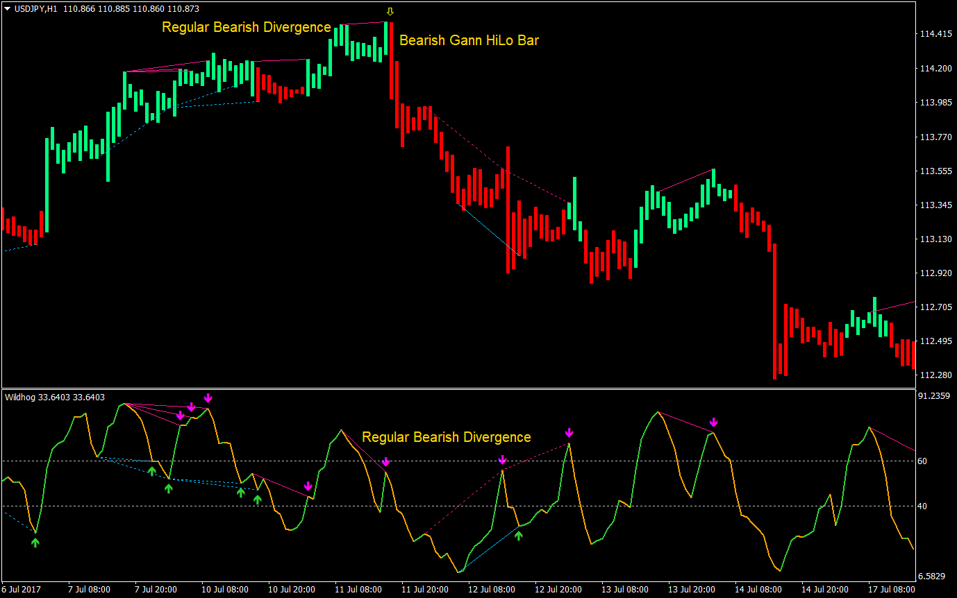 Wildhog Regular Divergence Forex Trading Strategy 08