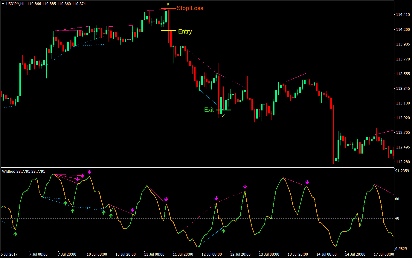 Wildhog Regular Divergence Forex Trading Strategy 09