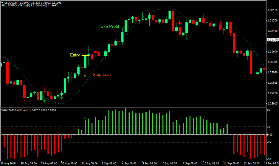 Yang Trader Forex Trading Strategy 1