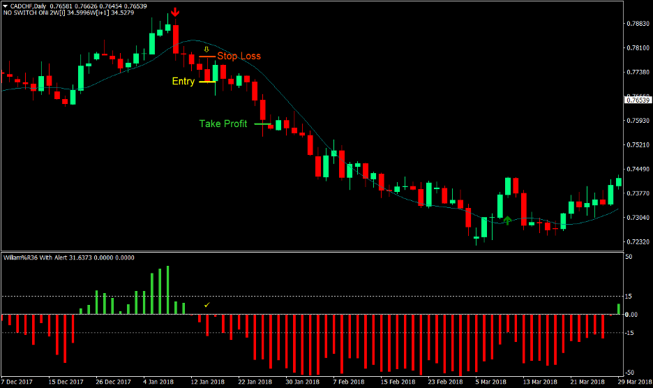 Yang Trader Forex Trading Strategy 3