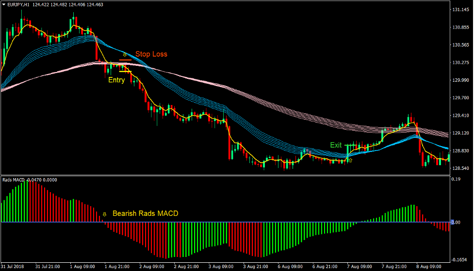 Rads MACD Trend Forex Trading Strategy 3