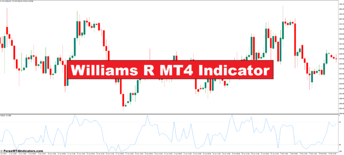 Williams R MT4 Indicator