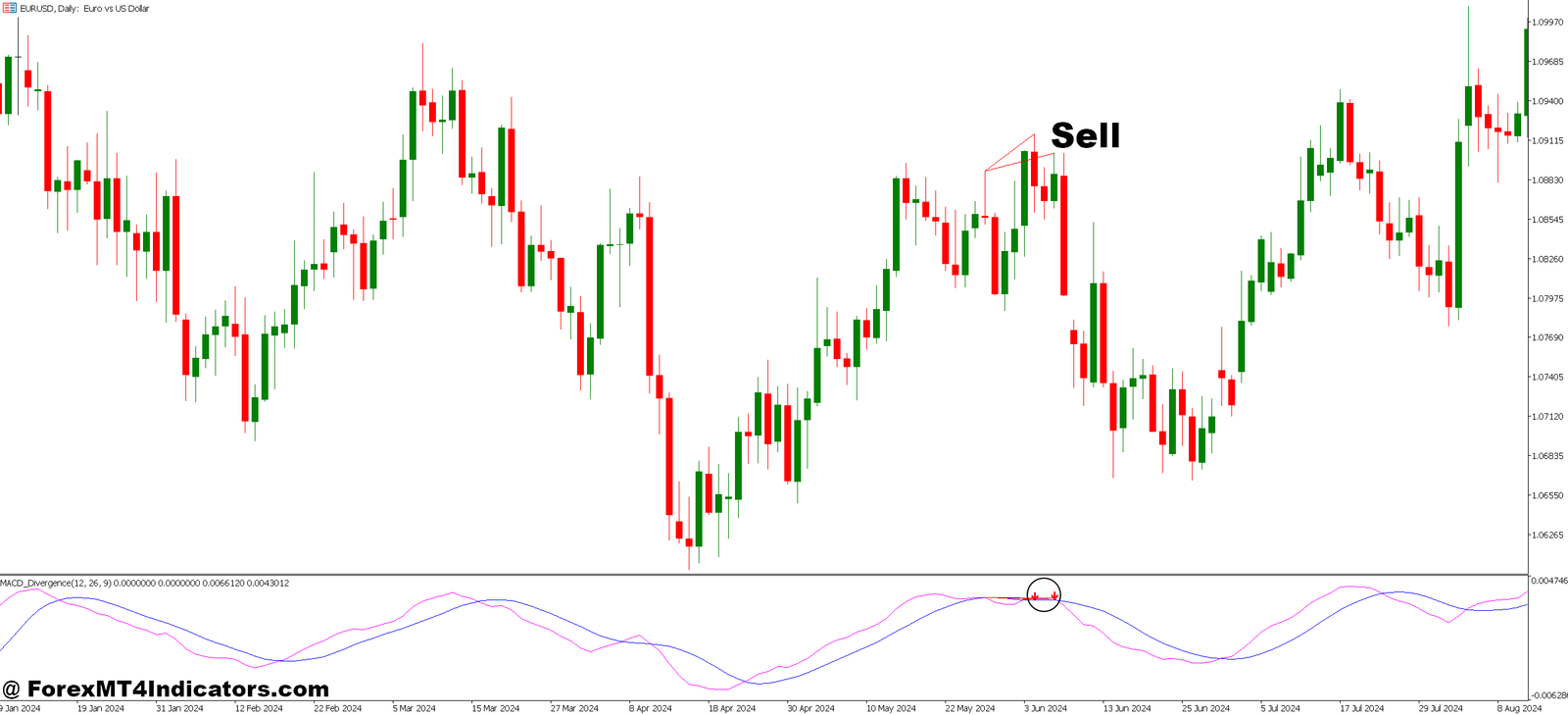 MT5 MACD Divergence Indicator 5 How to Trade with MT5 MACD Divergence Indicator - Sell Entry