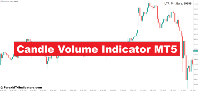 Candle Volume Indicator MT5 Candle Volume Indicator MT5