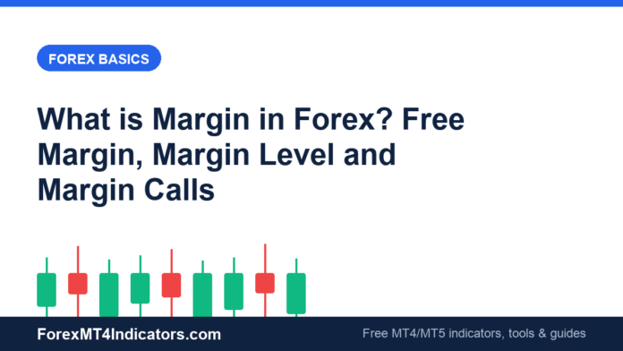 What is Margin in Forex? Free Margin, Margin Level and Margin Calls